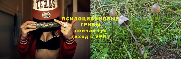 2c-b Инта