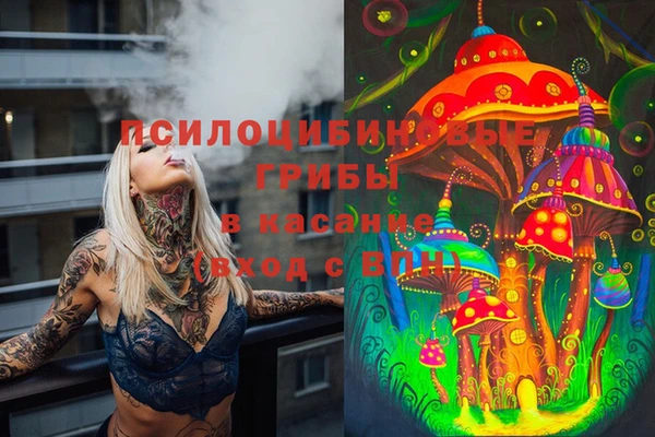 2c-b Инта