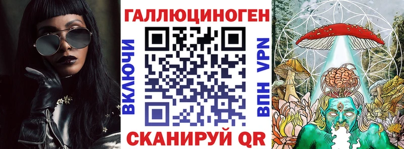 Купить где  Родники  Галлюциногенные грибы Cubensis 